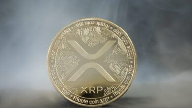 The United States explores a multi -asset encoded protected idea with XRP and Bitcoin