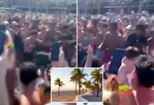 Florida Spring Breakers hold an illegal boxing match on the beach - complete with cryptocurious betting: Wild Video