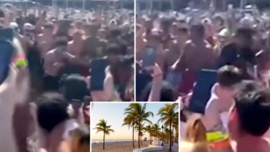 Florida Spring Breakers hold an illegal boxing match on the beach - complete with cryptocurious betting: Wild Video