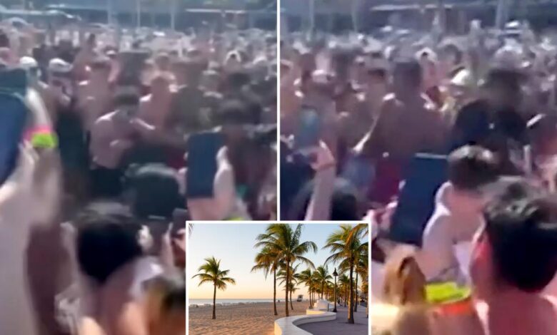 Florida Spring Breakers hold an illegal boxing match on the beach - complete with cryptocurious betting: Wild Video