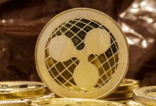 XRP Effects after Ripple CEO Brad Garlinghouse says SEC throws his lawsuit against the company