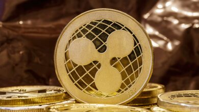 XRP Effects after Ripple CEO Brad Garlinghouse says SEC throws his lawsuit against the company