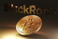 The recession would be a "big catalyst for Bitcoin", says "Blackrock's chief of digital property