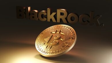 The recession would be a "big catalyst for Bitcoin", says "Blackrock's chief of digital property