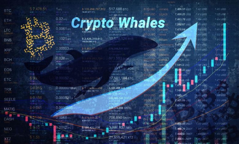 Cripto Whales Profit $ 6.8 million from the Crypto Reserve Cricular News Trump