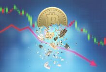 Bitcoin Crash 2025, Cripto Cycle Repeats: Road Map