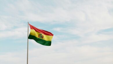 Firm for Bolivian State Energy to Use Crypto to Pay Income: Reuters