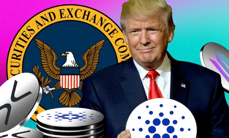 Trump Hugs XRP, Solana and Cardano will accelerate the approval of the ETF, analysts say - DL News