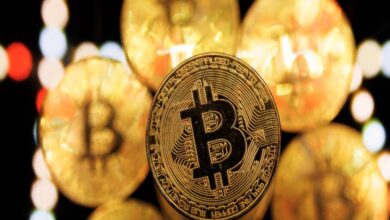 Bitcoin Up by Fifth after Trump recounts backup codes