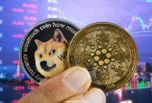 Bitcoin eyes 90 thousand dollars; Dog, Ada Spikes