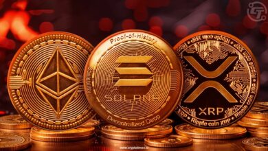 Bitcoin fell to 80,000 dollars; ETH, XRP, Sol decreases by 6 % in 24 hours