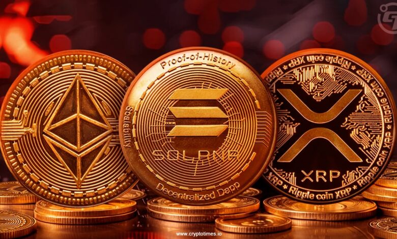 Bitcoin fell to 80,000 dollars; ETH, XRP, Sol decreases by 6 % in 24 hours