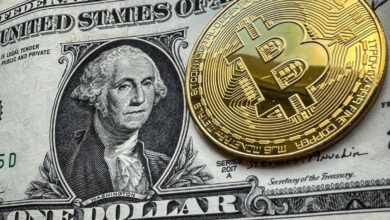 Bitcoin fluctuation scale fell to nearly 8 months in February