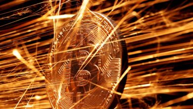 Bitcoin price rises, but the possibilities indicate that it may have already reached its peak this year