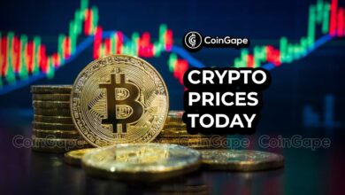 Bitcoin price rises, clouds, XRP, Dogcoin, and Cardano