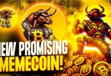 Cilinix Crypto's BTC Bull Presale update - the best Mimi currency now?