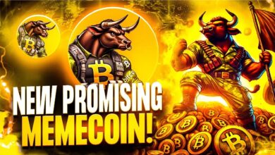 Cilinix Crypto's BTC Bull Presale update - the best Mimi currency now?