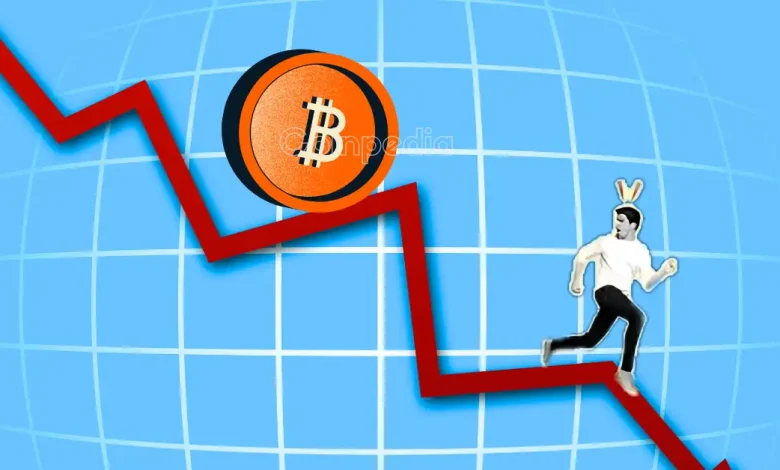 Why does cript crash? Bitcoin News, Pi Network Price, Nvidia Stock Plunge