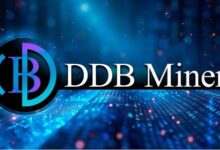 DDB Miner launches a new opportunity