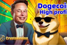 Dogecoin (DOGE) lovers receive $ 68,000 a day through cloud mining