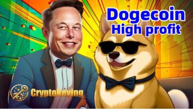 Dogecoin (DOGE) lovers receive $ 68,000 a day through cloud mining