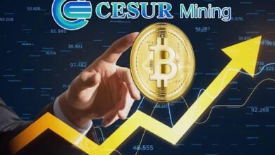 Earn $ 20,000 every day using Cesur mining to lead the new trend! Bitcoin mining easily