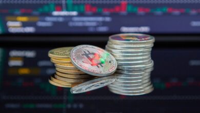 Is the cripto smart bet or risky gambling?