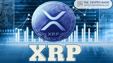 Here is how the XRP price can rise from $ 100 to the four -figure range: Business Commander