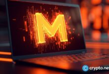 MONERO SPIKES HOW GOVERNMENT THE US COURSE, Sparks are set