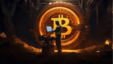 How to accommodate Bitcoin for free: The 6 best mining platforms are safe and legitimate in 2025 + market opportunities analysis