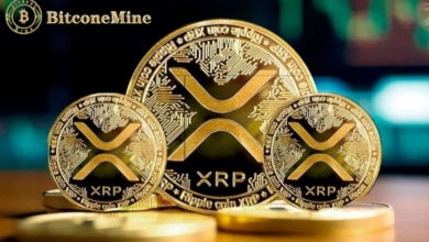 How to use XRP to make $ 57,430 a day bitcoin mining with BitConemine