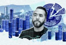 Collapse Sanja for Bitcoin El Salvador