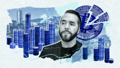 Collapse Sanja for Bitcoin El Salvador