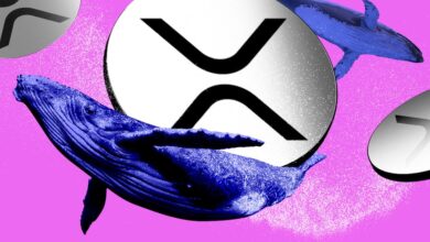 XRP Whales saws in $ 464 million as record record hopes soar - DL News