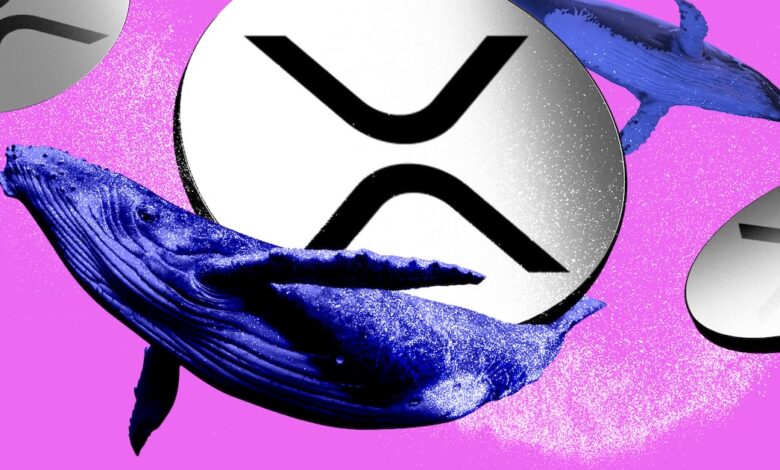 XRP Whales saws in $ 464 million as record record hopes soar - DL News