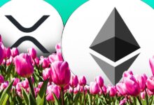 XRP and Etherum life Surge blinks lightly from Altcoin spring - DL News