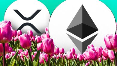 XRP and Etherum life Surge blinks lightly from Altcoin spring - DL News