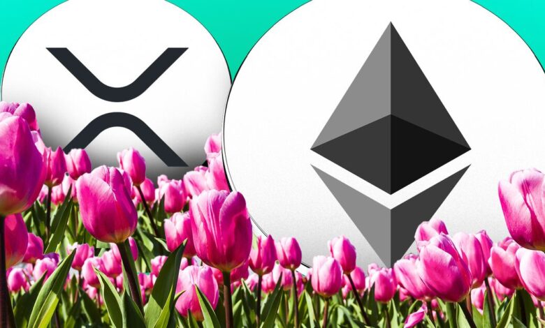 XRP and Etherum life Surge blinks lightly from Altcoin spring - DL News