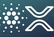 The Reply's Ripple's XRP and Cardano Reserve plan that interests the tremendous market interest - here is what to expect ⋆ Zycrypto