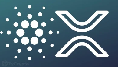 The Reply's Ripple's XRP and Cardano Reserve plan that interests the tremendous market interest - here is what to expect ⋆ Zycrypto