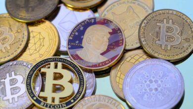 Why the Bitcoin's Reserve's Trump manufactures 3 codes you should see