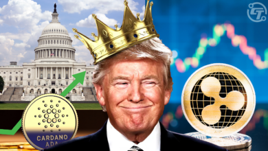 With Rump Crypto Reserve, the market was set for the revival week