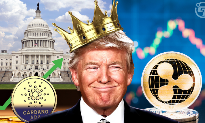 With Rump Crypto Reserve, the market was set for the revival week