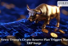 XRP high prices in the Trump -for -a -trial reserve plan