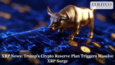 XRP high prices in the Trump -for -a -trial reserve plan