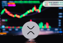 Early Bitcoin predicts dependent on the price of XRP, says he can do something crazy this year and may reach $ 24