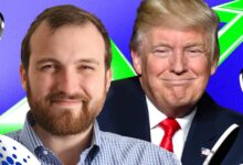 Cardano flew 78% after the Trump Plan Cripto Reserve. Here's what to expect the following - DL News