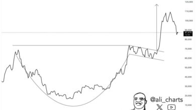 Bitcoin Cup and Dress for the hand Stals below 115K goals, Anironst