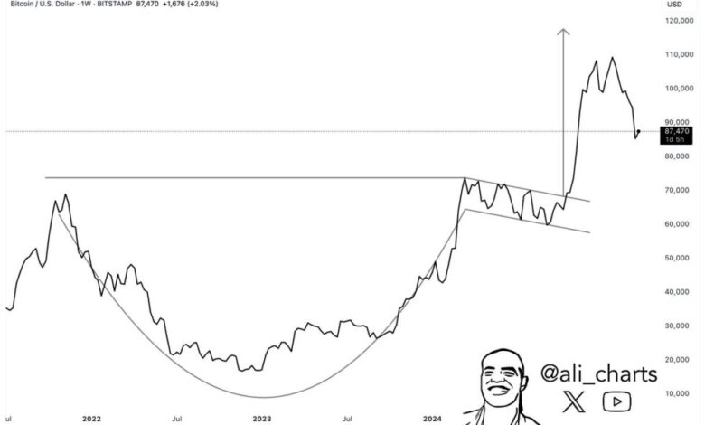 Bitcoin Cup and Dress for the hand Stals below 115K goals, Anironst