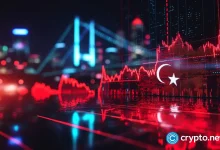 Bynance's USDT Couple with Turkish Lyra sees the largest amplitude of 2024. Years after the detained rival key in Erdogan